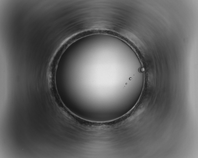 X0000092330926200709141415