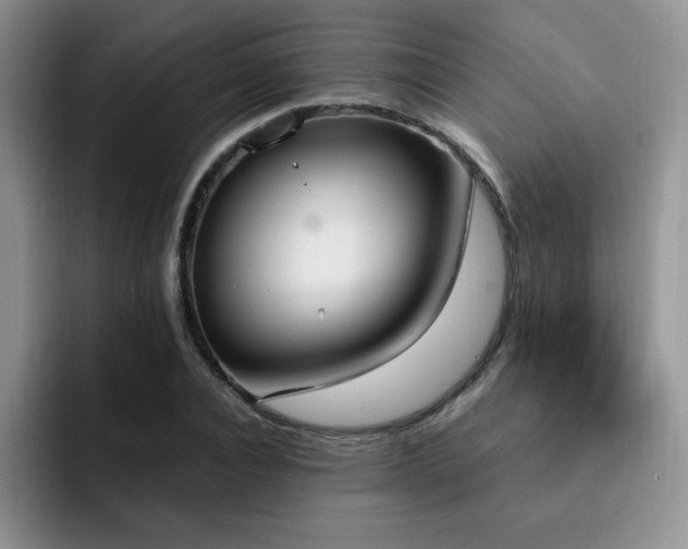 X0000092330928200709141415