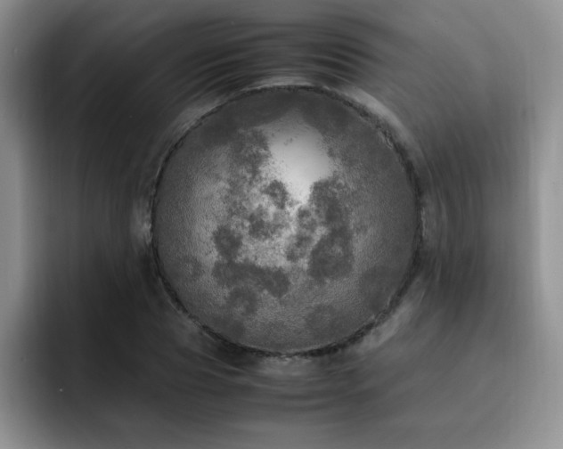 X0000092330929200709141415