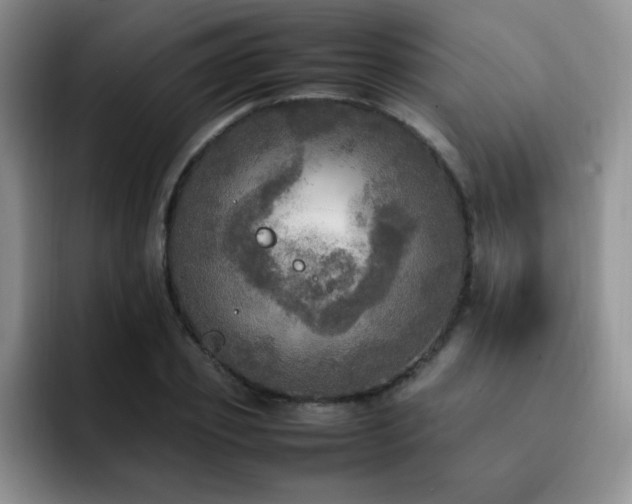 X0000092330933200709141415
