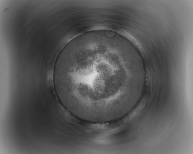 X0000092330937200709141415