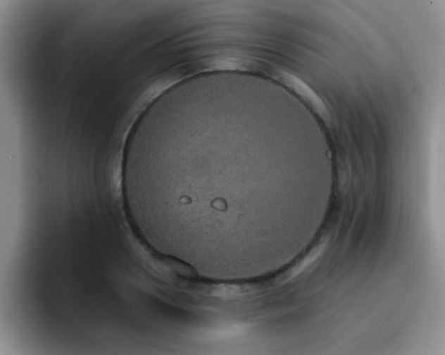 X0000092330938200709141415