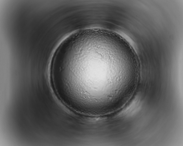X0000092330949200709141415
