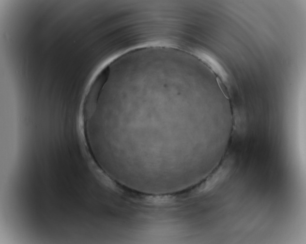 X0000092330952200709141415