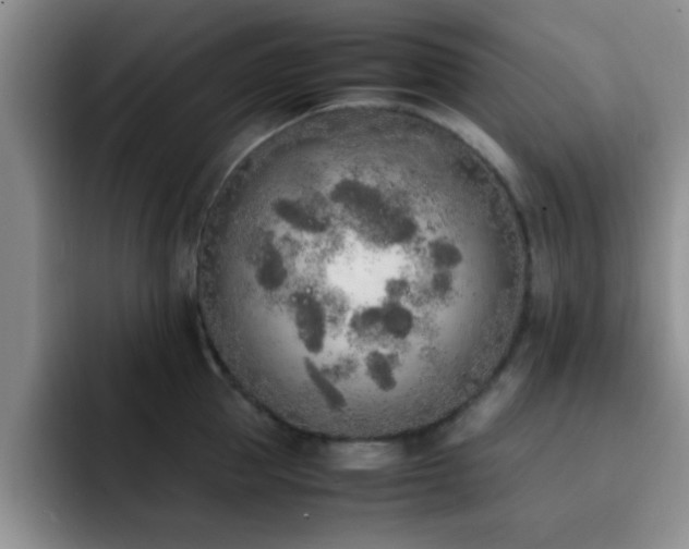 X0000092330953200709141415