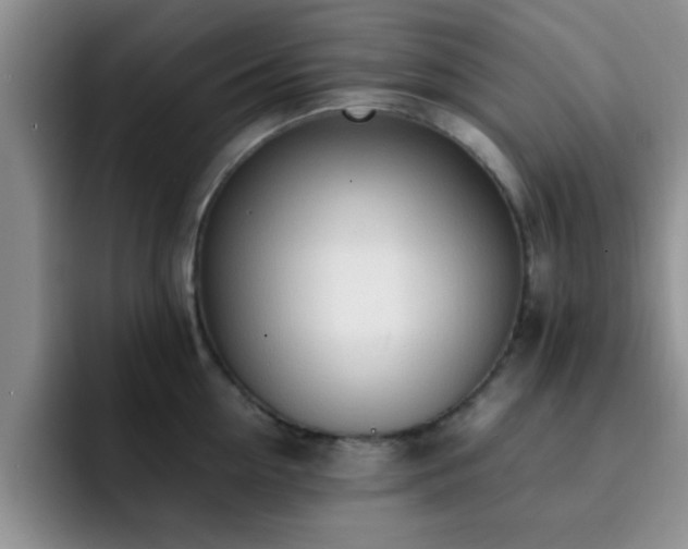 X0000092330954200709141415