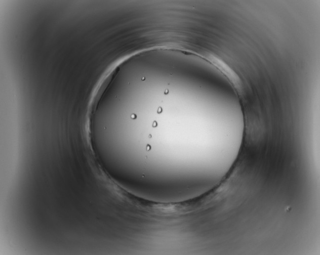 X0000092330956200709141416