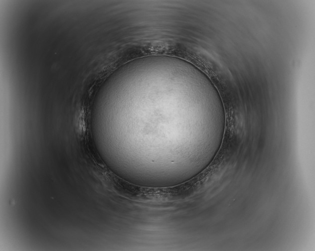 X0000092330962200709141415