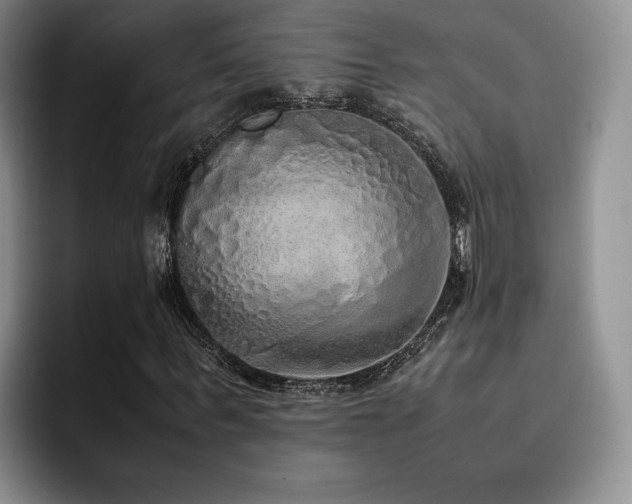 X0000092330963200709141415