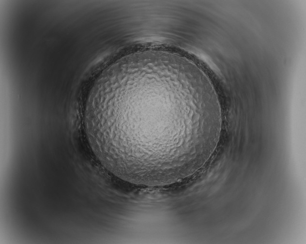 X0000092330967200709141415