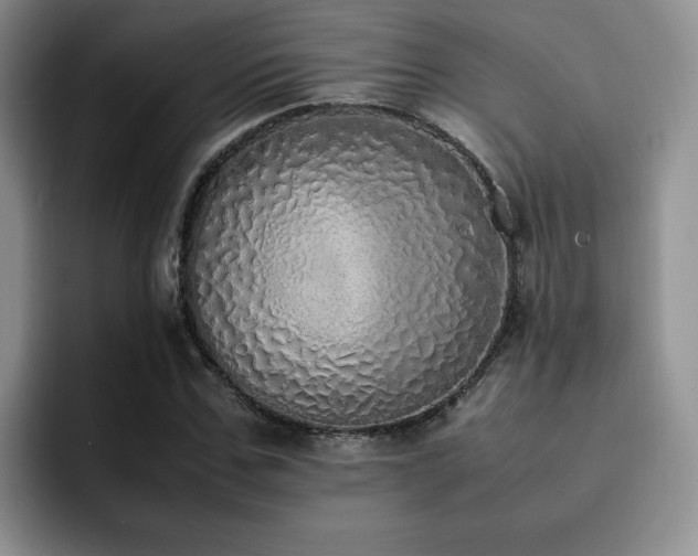 X0000092330971200709141415