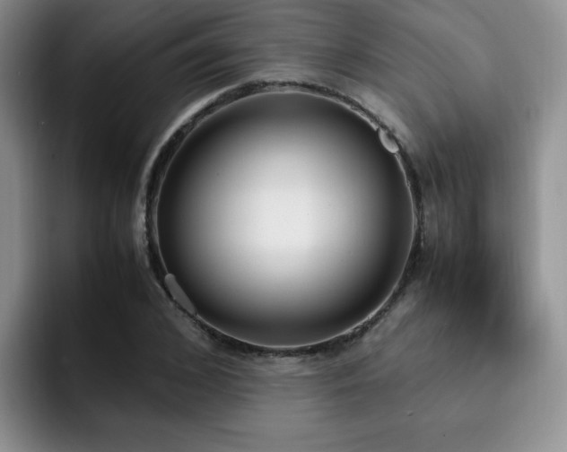 X0000092330976200709141415