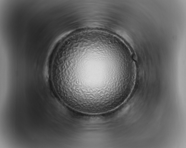 X0000092330979200709141415