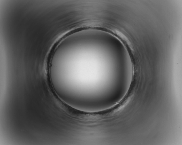 X0000092330981200709141415