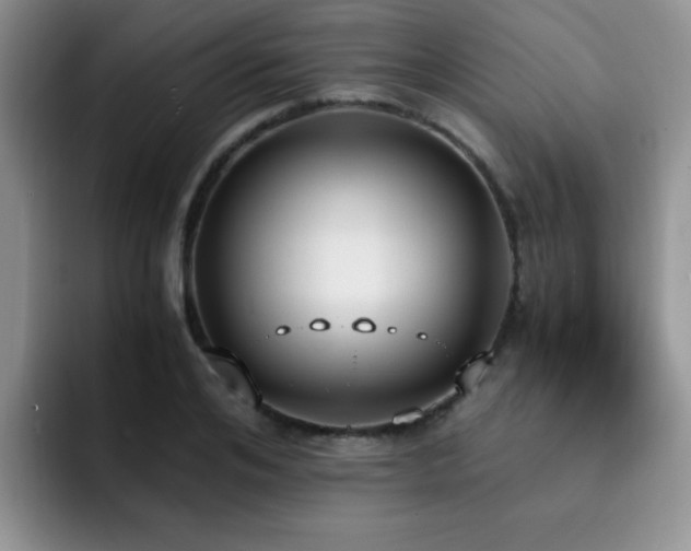 X0000092330984200709141415