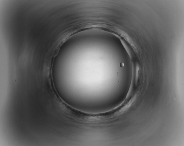 X0000092330985200709141415