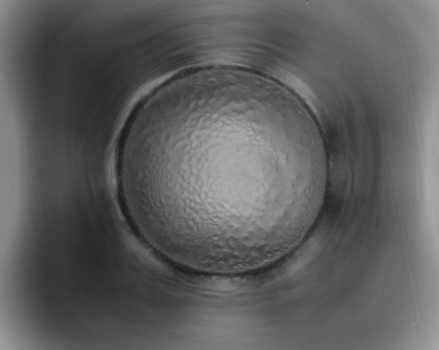 X0000092330987200709141415