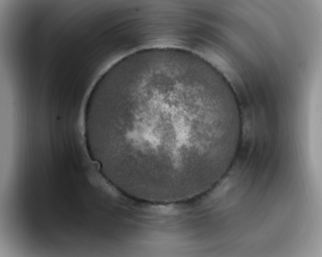 X0000092330990200709141415