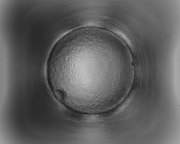 X0000092330991200709141415