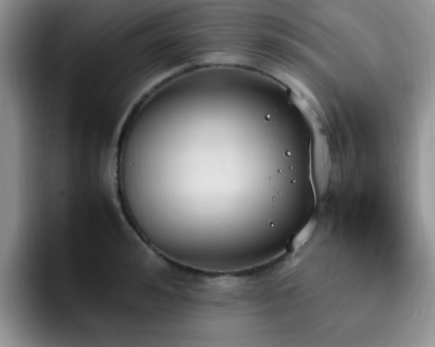 X0000092330992200709141415