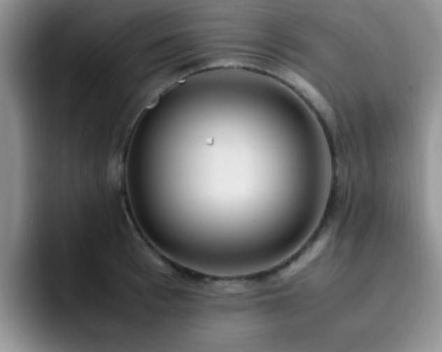 X0000092330993200709141415