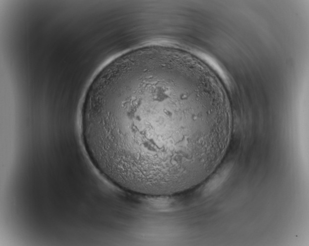 X0000092330999200709141414