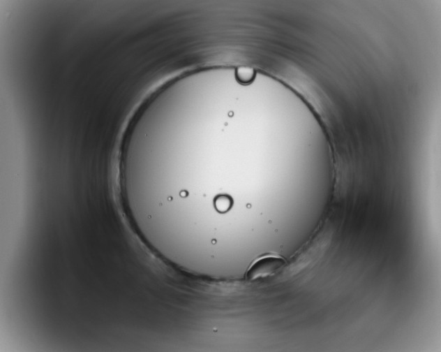 X0000092331000200709141414