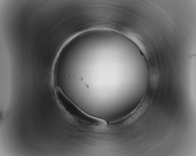 X0000092331004200709141414