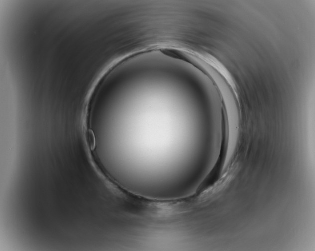 X0000092331005200709141414