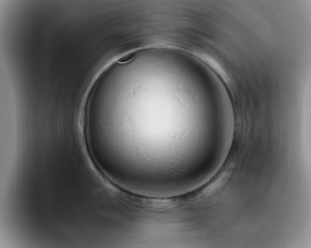 X0000092331007200709141414