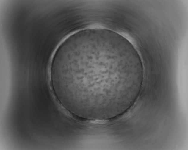 X0000092331008200709141414