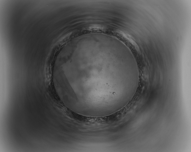 X0000092331015200709141414
