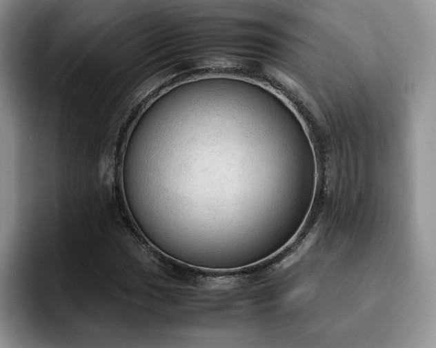 X0000092331017200709141414