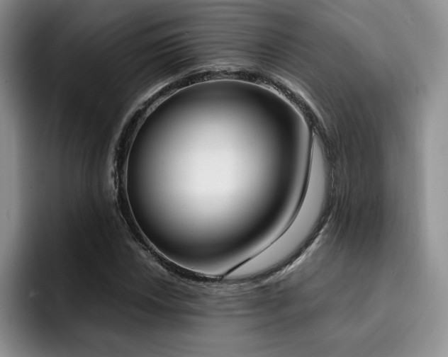 X0000092331018200709141414