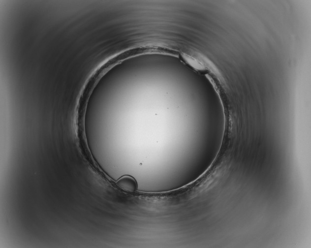 X0000092331020200709141414