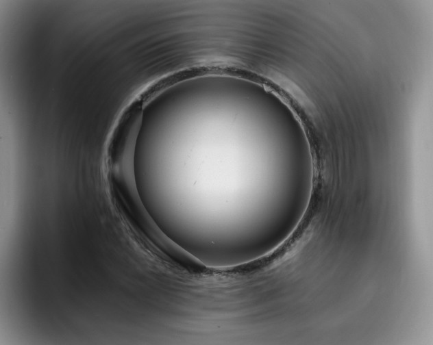 X0000092331022200709141414