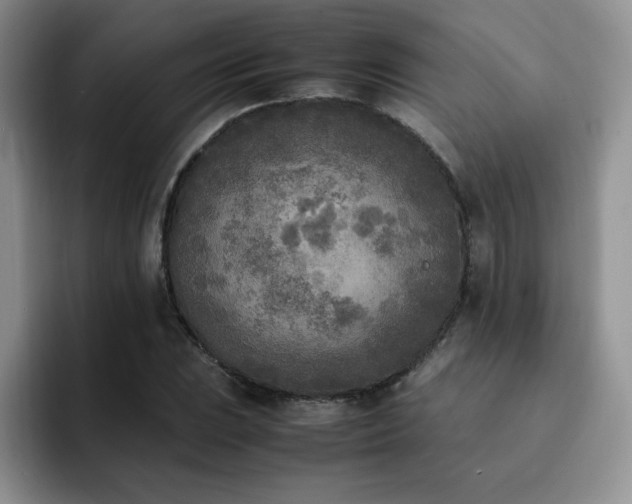 X0000092331023200709141414