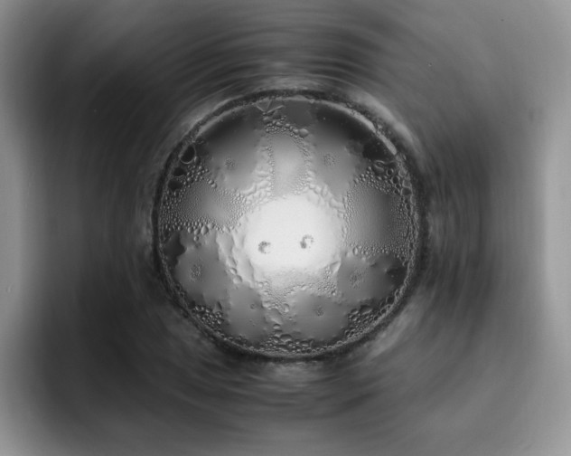 X0000092331025200709141414