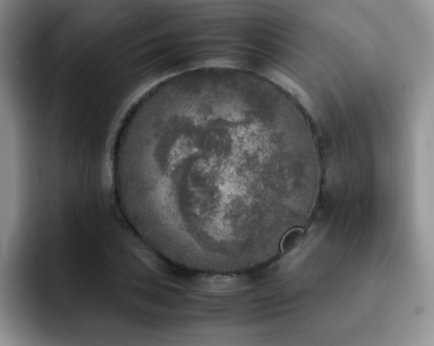X0000092331027200709141414