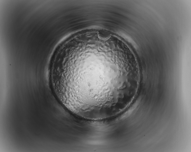 X0000092331029200709141414