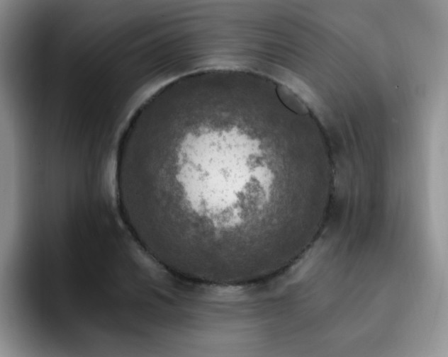 X0000092331030200709141414