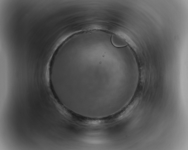 X0000092331031200709141414