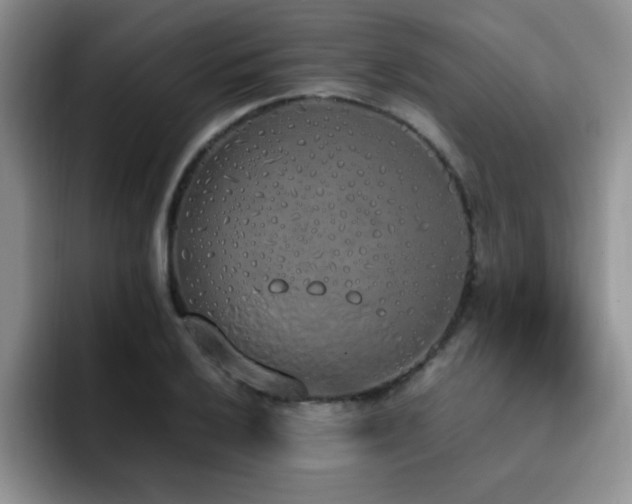 X0000092331032200709141414