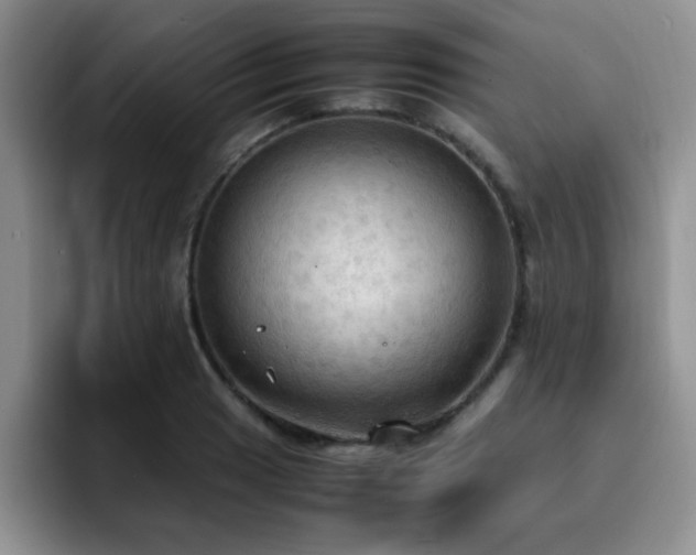 X0000092331033200709141414