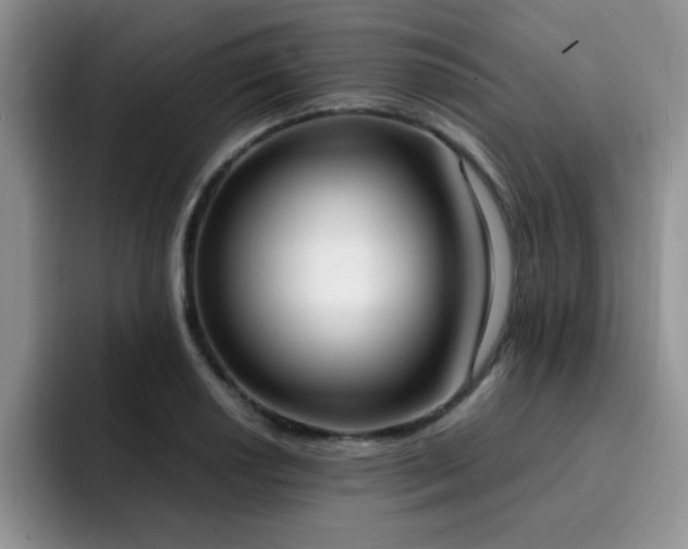 X0000092331034200709141414
