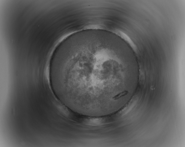 X0000092331035200709141414
