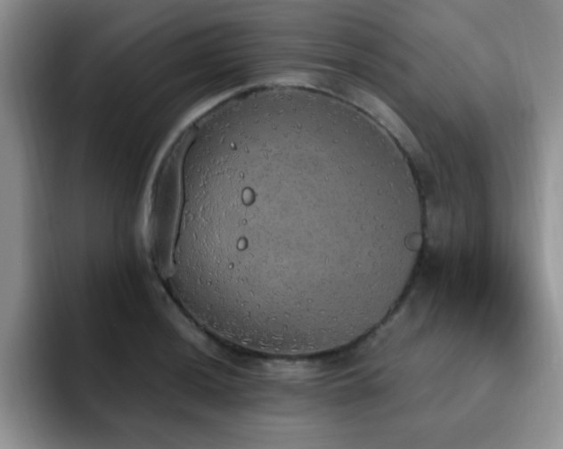 X0000092331036200709141414