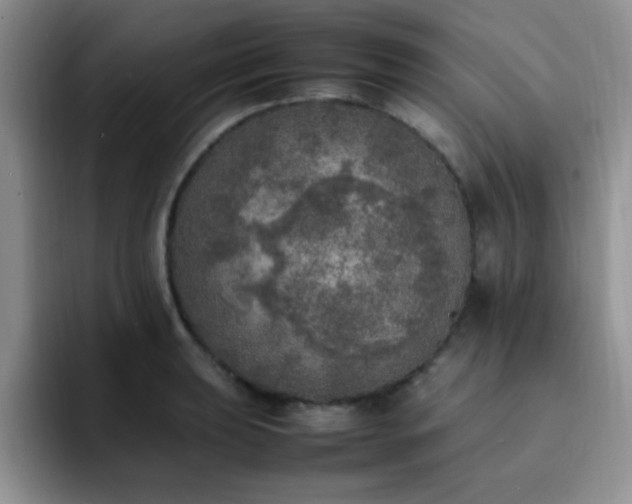 X0000092331039200709141414