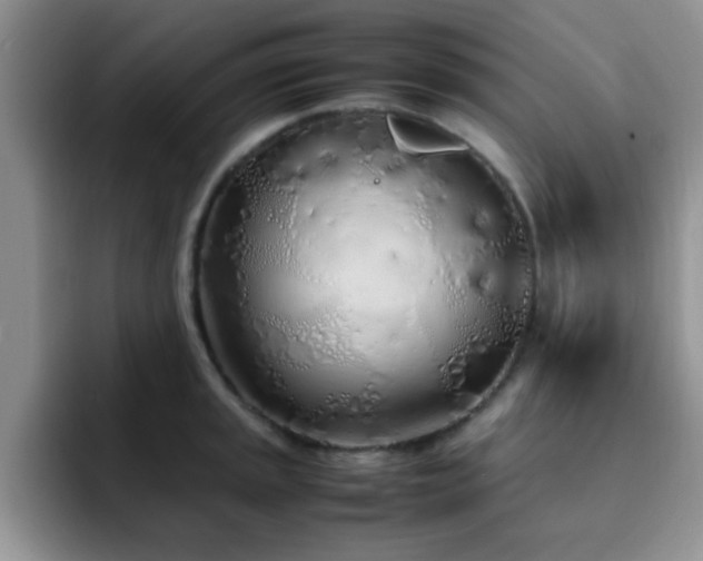 X0000092331045200709141414