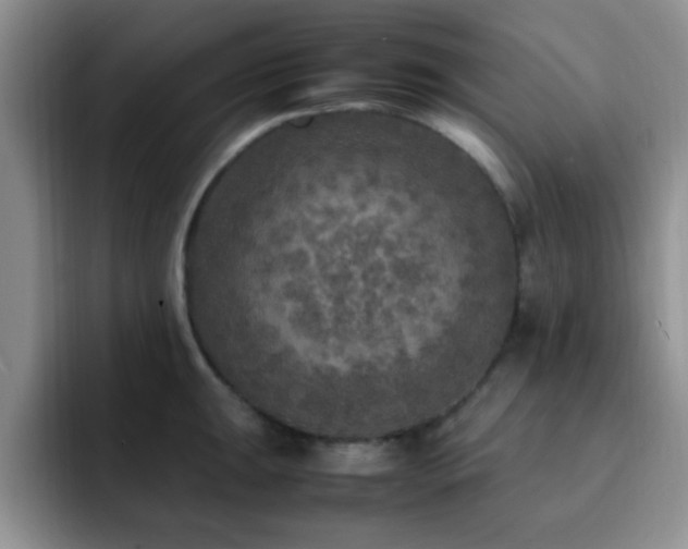 X0000092331047200709141414